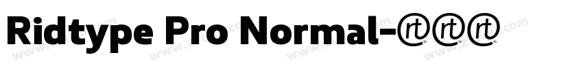 Ridtype Pro Normal字体转换